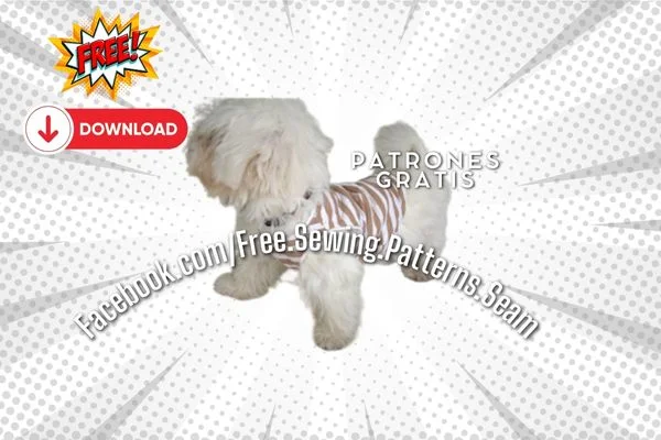 Camiseta Cachorro 2025 Camiseta Cachorro